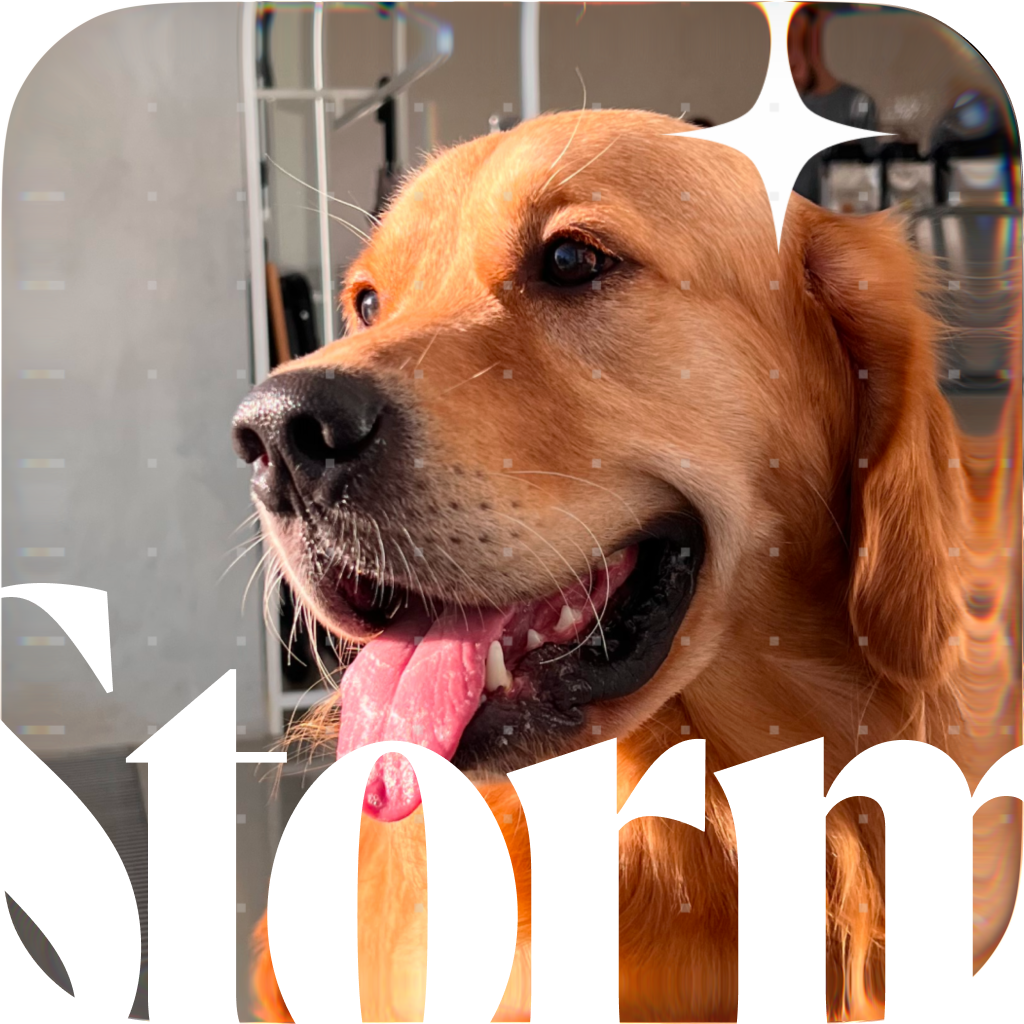STORM Studio